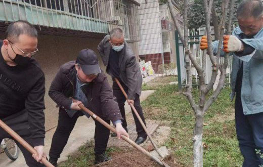 党旗插在一线 共建绿色家园 —— 宝鸡市国有资产经营有限责任公司机关（第一）、（第二）党支部联合宝鸡国资正能物业管理有限公司党支部开展“植树节”主题党日活动