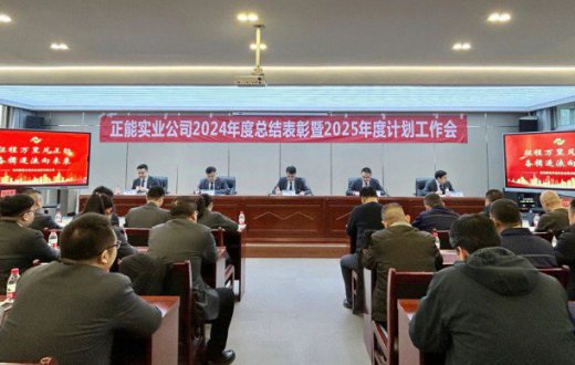 鹏程万里风正劲 奋楫逐浪向未来 —— tqb谈球吧召开2024年度总结表彰暨2025年度计划工作会