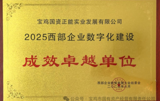 喜报 —— tqb谈球吧荣获“2025西部企业数字化建设成效卓越单位”称号